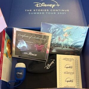 Disney drop Collectible with bucket hat, lenticular, limited ed pin
